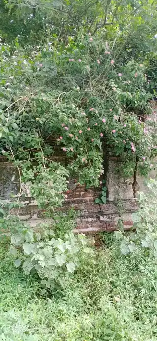 Arulmigu Darmarajar Temple, Kurukappatti, Singarapettai - 636307 அருள்மிகு தர்மராஜர் திருக்கோயில், Kurukappatti, Singarapettai - 636307, Krishnagiri - Ancient Temple Architecture and History Image 4