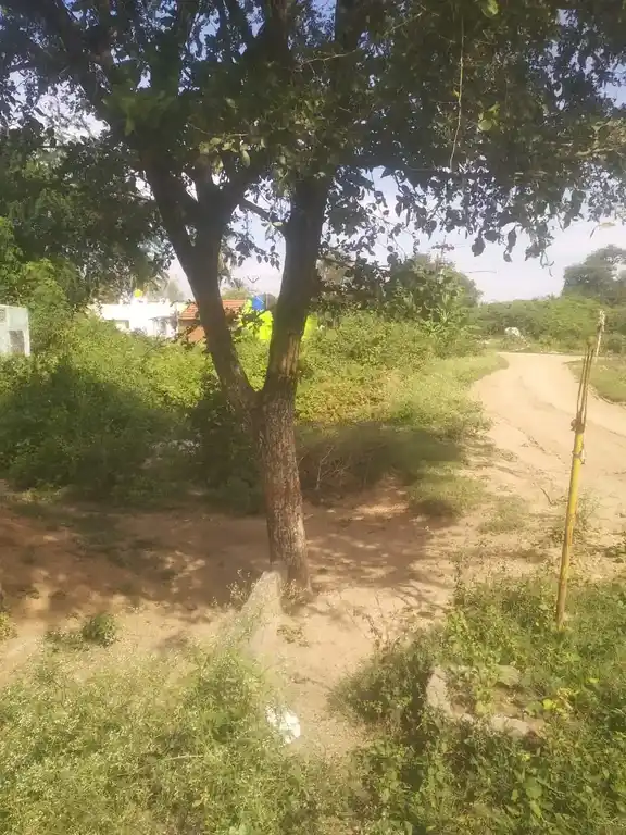 Arulmigu Dedukaragam Temple, Piyur - 635112 Temple