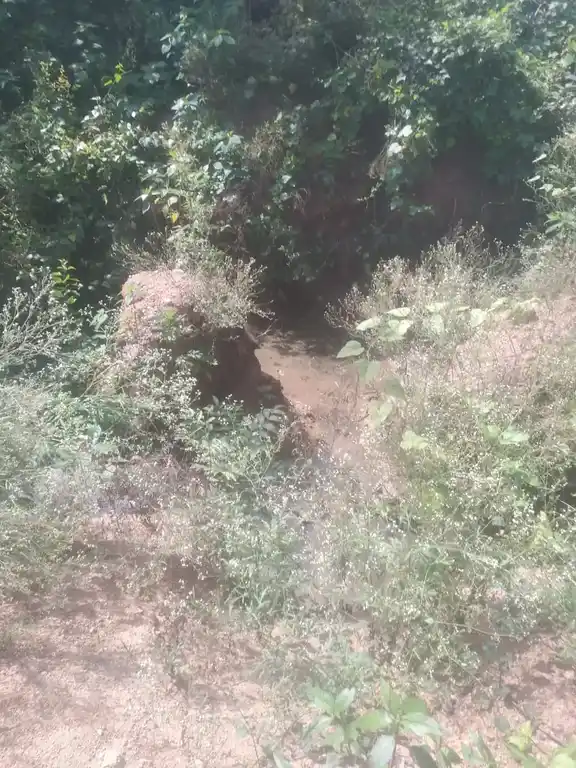 Arulmigu Dedukaragam Temple, Piyur - 635112 அருள்மிகு தேடுகரகம் திருக்கோயில், பையூர் - 635112, Krishnagiri - Ancient Temple Architecture and History Image 3