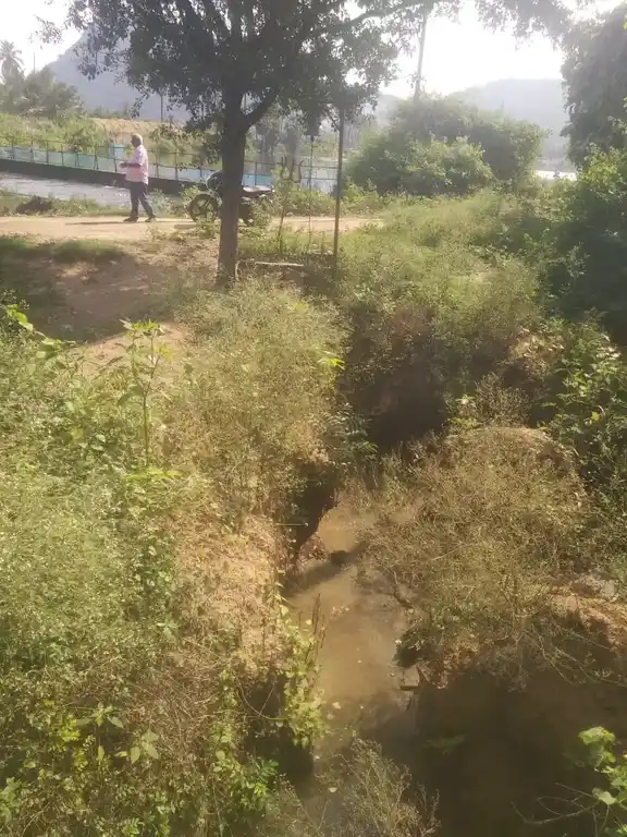 Arulmigu Dedukaragam Temple, Piyur - 635112 அருள்மிகு தேடுகரகம் திருக்கோயில், பையூர் - 635112, Krishnagiri - Ancient Temple Architecture and History Image 7