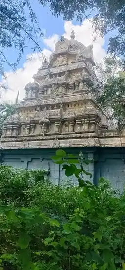 Arulmigu Devanatha Perumal Temple, Chettipuniyam - 603204 அருள்மிகு தேவநாத பெருமாள் திருக்கோயில், செட்டிபுண்ணியம் - 603204, Chengalpattu - Ancient Temple Architecture and History Image 3