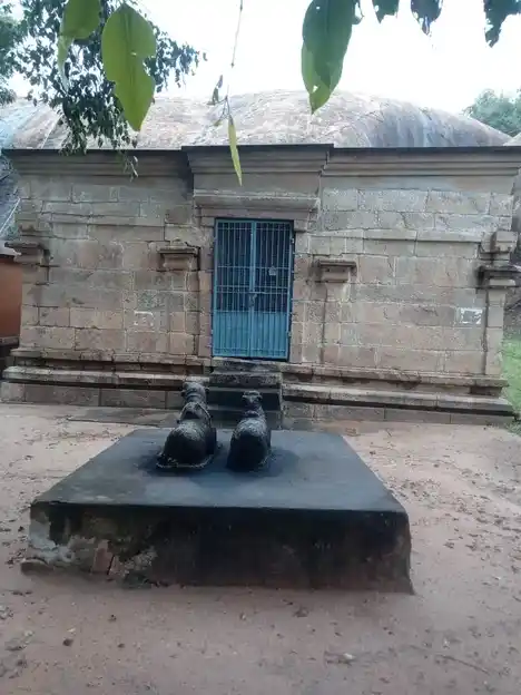 Arulmigu Devanathaswamy Temple, Devarmalai, Thirumayam Taluk - 622422 அருள்மிகு தேவநாதசுவாமி திருக்கோயில், தேவர்மலை, திருமயம் வட்டம் - 622422, Pudukkottai - Ancient Temple Architecture and History Image 3