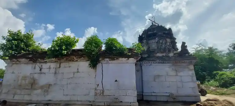 Arulmigu Devaraja Perumal Temple, Reddyvalam - 631052 அருள்மிகு தேவராஜப் பெருமாள் திருக்கோயில், ரெட்டிவலம் - 631052, Ranipet - Ancient Temple Architecture and History Image 4