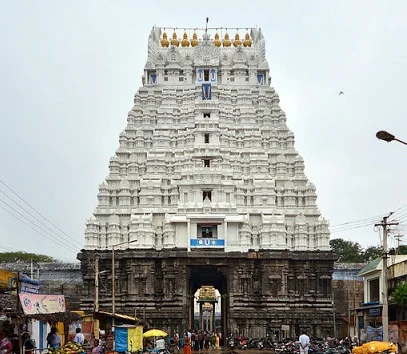 Arulmigu Devarajaswamy Temple, Little Kancheepuram - 631501 அருள்மிகு தேவராஜசுவாமி திருக்கோயில், சின்ன காஞ்சிபுரம் - 631501, Kancheepuram - Ancient Temple Architecture and History Image 6