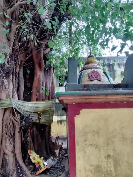 Arulmigu Devi Bhavaniputhiamman Temple, Near Street, Kavaraipettai - 601201 அருள்மிகு தேவி பவனிபுத்தியம்மன் திருக்கோயில், Near Street, Kavaraipettai - 601201, Tiruvallur - Ancient Temple Architecture and History Image 3