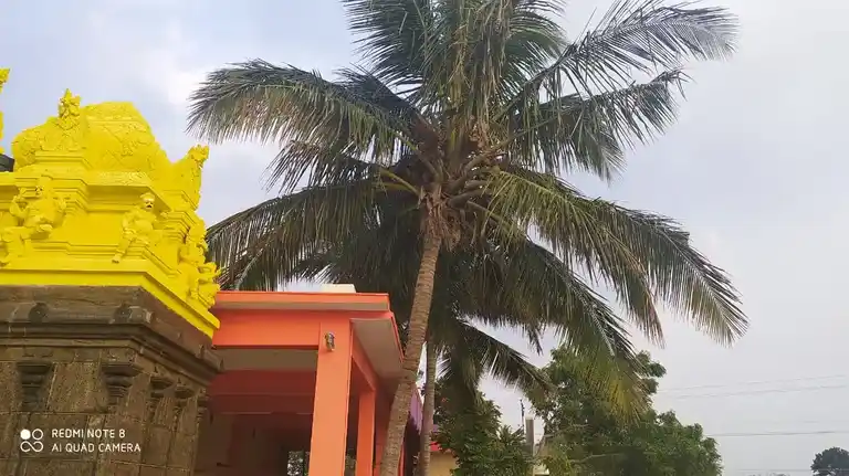 Arulmigu Devi Karumariamman Temple, Kadayanallur - 627751 அருள்மிகு தேவி கருமாரியம்மன் திருக்கோயில், கடையநல்லூர் - 627751, Tenkasi - Ancient Temple Architecture and History Image 4