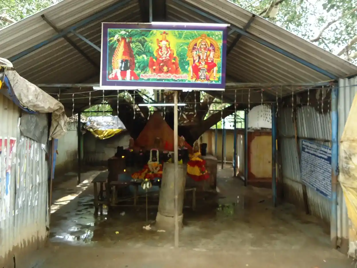 Arulmigu Devi Karumariamman Temple, Near Bhavani Amman Temple, Periyapalayam - 601102
