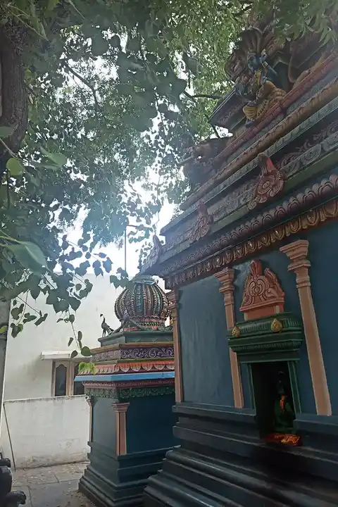 Arulmigu Devi Karumariyamman Temple, Veppangal - 635809 அருள்மிகு தேவி கருமாரியம்மன் திருக்கோயில், வேப்பங்கால் - 635809, Vellore - Ancient Temple Architecture and History Image 5