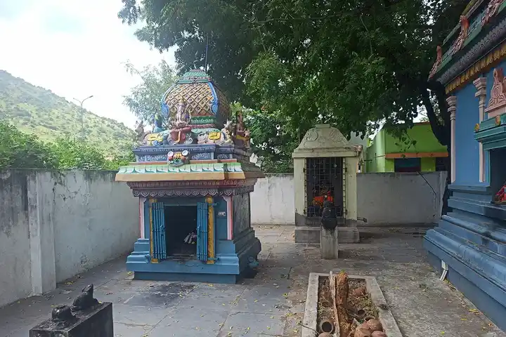 Arulmigu Devi Karumariyamman Temple, Veppangal - 635809 அருள்மிகு தேவி கருமாரியம்மன் திருக்கோயில், வேப்பங்கால் - 635809, Vellore - Ancient Temple Architecture and History Image 6