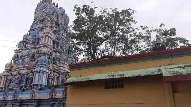Arulmigu Devi Thulukanathaman Temple, Serkadu - 631605 அருள்மிகு தேவி துலுக்கானத்தம்மன் திருக்கோயில், Serkadu, Serkadu - 631605, Kancheepuram - Ancient Temple Architecture and History Image 2