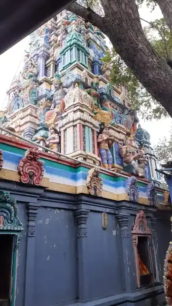 Arulmigu Devi Thulukanathaman Temple, Serkadu - 631605 அருள்மிகு தேவி துலுக்கானத்தம்மன் திருக்கோயில், Serkadu, Serkadu - 631605, Kancheepuram - Ancient Temple Architecture and History Image 3