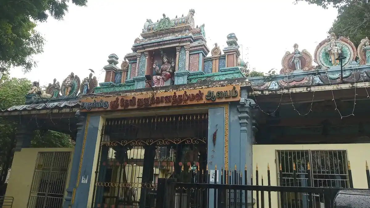 Arulmigu Devi Thulukanathamman Temple, Kotturpuram, Chennai - 600085 அருள்மிகு தேவி ஸ்ரீ துலுக்கானத்தம்மன் ஆலயம், கோட்டூர்புரம், சென்னை - 600085, Chennai - Ancient Temple Architecture and History Image 2