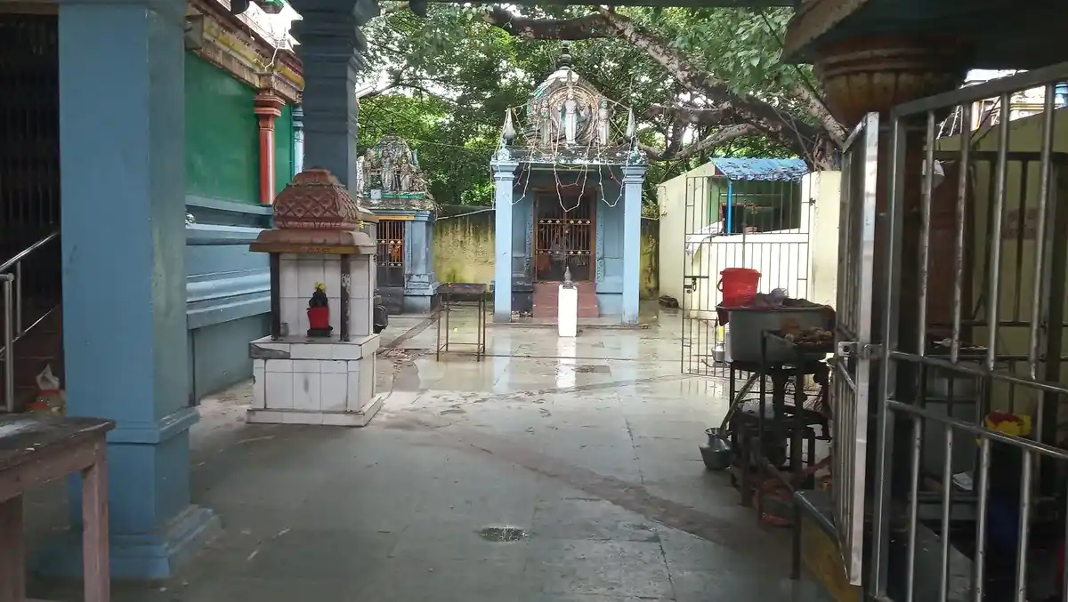 Arulmigu Devi Thulukanathamman Temple, Kotturpuram, Chennai - 600085 அருள்மிகு தேவி ஸ்ரீ துலுக்கானத்தம்மன் ஆலயம், கோட்டூர்புரம், சென்னை - 600085, Chennai - Ancient Temple Architecture and History Image 5