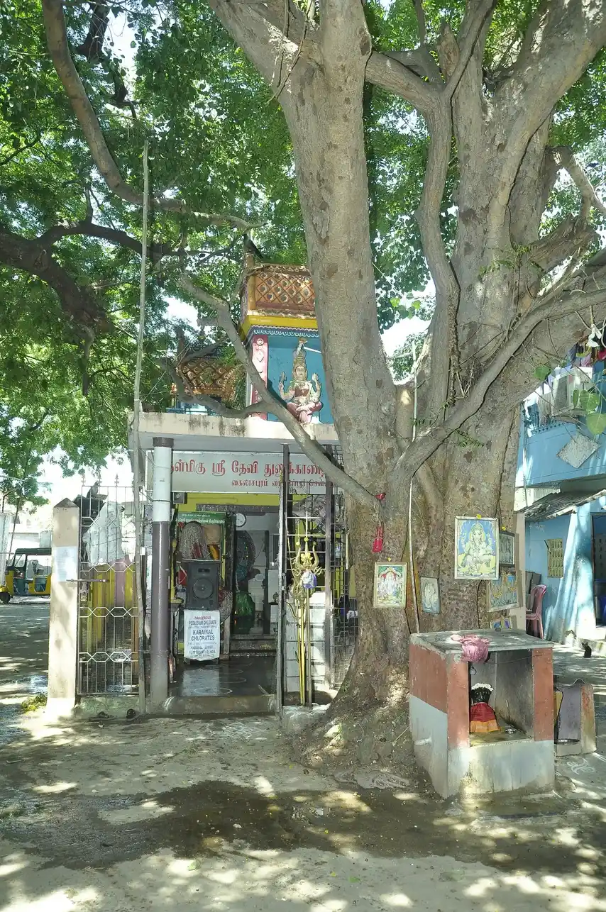 Arulmigu Devi Thulukkanathamman Temple, Mylapore, Chennai - 600004
