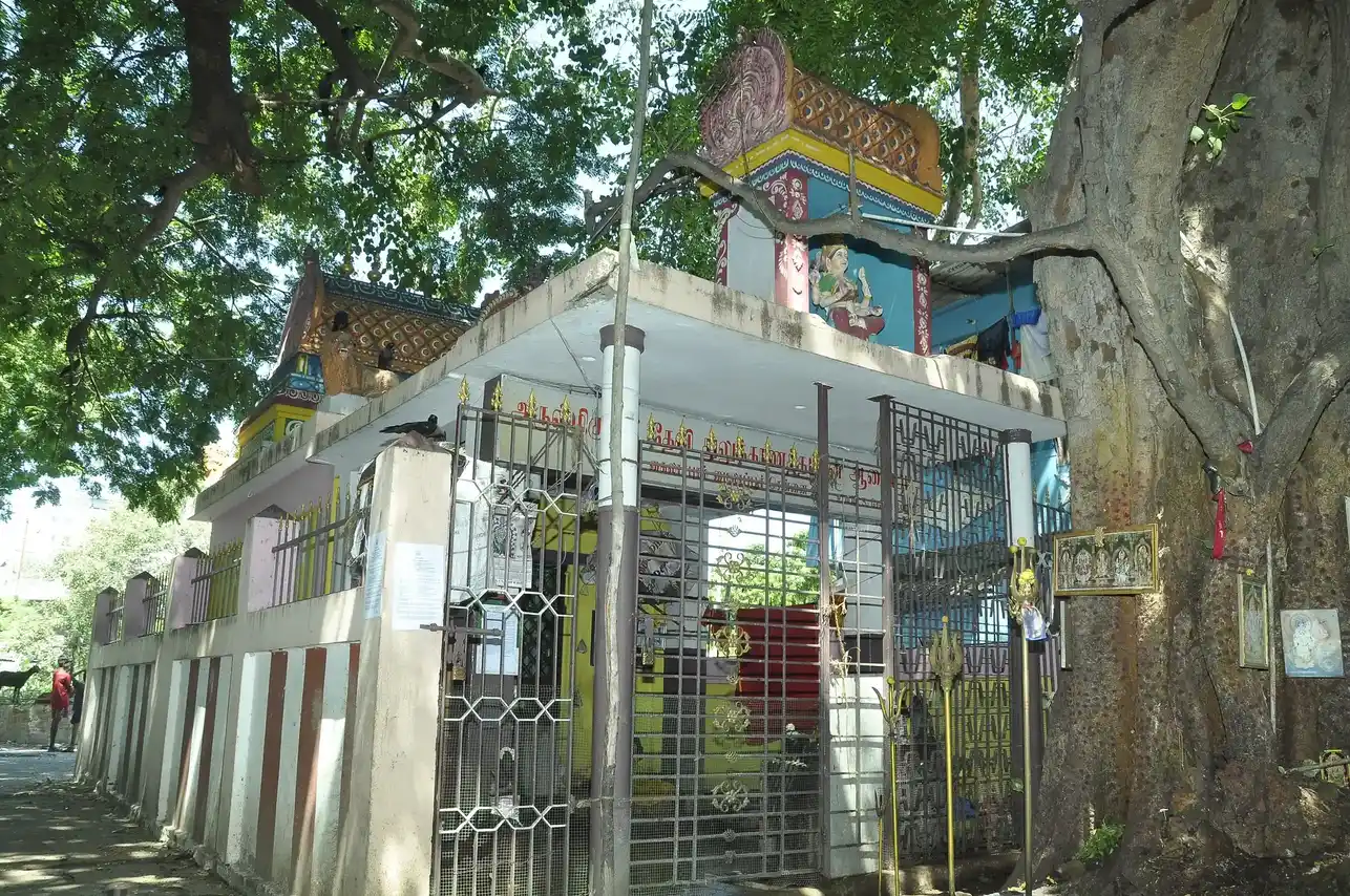 Arulmigu Devi Thulukkanathamman Temple, Mylapore, Chennai - 600004 அருள்மிகு தேவி துலுக்காணத்தம்மன் திருக்கோயில், மயிலாப்பூர், சென்னை - 600004, Chennai - Ancient Temple Architecture and History Image 4