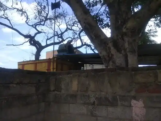 Arulmigu Devikarumariyamman Temple, Indira Nagar Tirupattur - 635601 அருள்மிகு தேவி கருமாரியம்மன் திருக்கோயில், இந்திரா நகர் திருப்பத்தூர் - 635601, Thirupathur - Ancient Temple Architecture and History Image 2