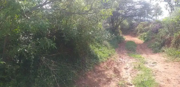 Arulmigu Devikulam Kannimaar Temple, Sirugudi - 624402 அருள்மிகு தேவக்குளம் கன்னிமார் திருக்கோயில், Sirugudi - 624402, Dindigul - Ancient Temple Architecture and History Image 2