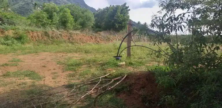 Arulmigu Devikulam Kannimaar Temple, Sirugudi - 624402 அருள்மிகு தேவக்குளம் கன்னிமார் திருக்கோயில், Sirugudi - 624402, Dindigul - Ancient Temple Architecture and History Image 3