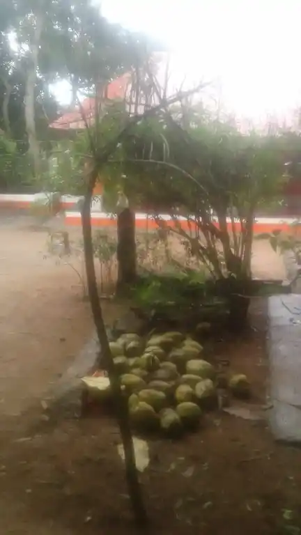 Arulmigu Dhamodhara Vinayagar Temple, Mantharamputhur, Kottaram - 629703 Arulmigu Dhamodhara Vinayagar Temple, Mantharamputhur, Kottaram - 629703, Kanyakumari - Ancient Temple Architecture and History Image 2