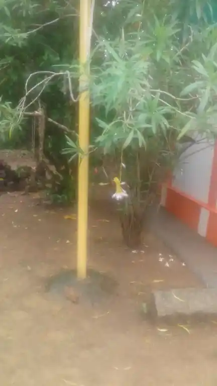 Arulmigu Dhamodhara Vinayagar Temple, Mantharamputhur, Kottaram - 629703 Arulmigu Dhamodhara Vinayagar Temple, Mantharamputhur, Kottaram - 629703, Kanyakumari - Ancient Temple Architecture and History Image 3