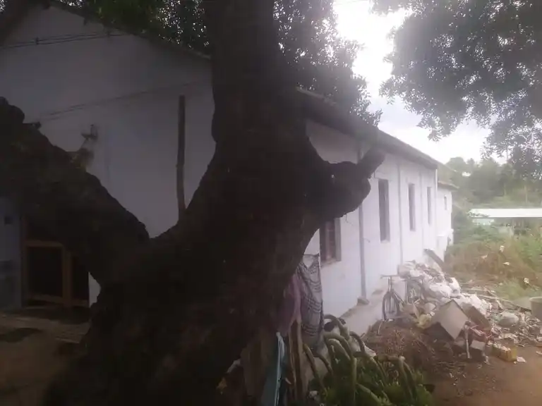 Arulmigu Dhandayudhabani Swamy Madam, Kallappalli - 639105 அருள்மிகு தண்டபாணிசுவாமி மடம், Kallappalli - 639105, Karur - Ancient Temple Architecture and History Image 3