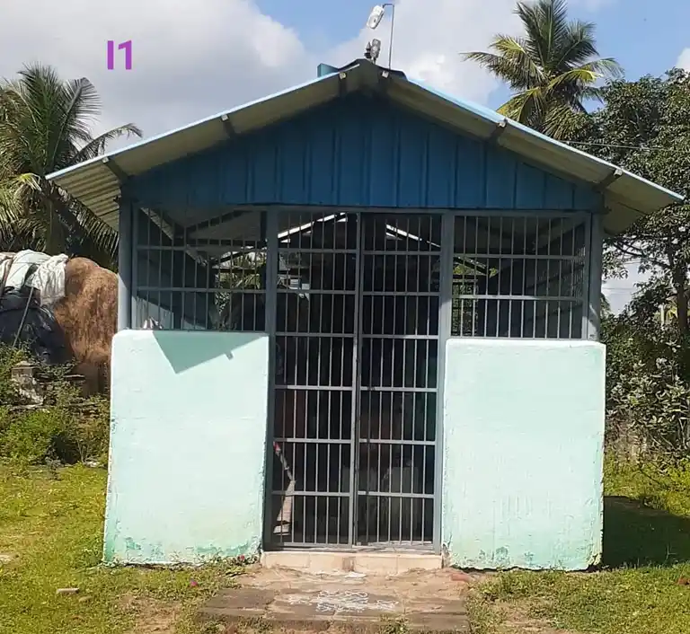 Arulmigu Dhandayutha Pani Temple, Keelanammangurichi - 614704