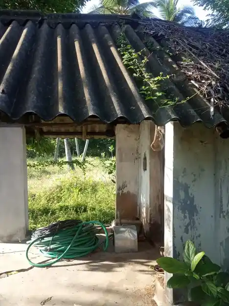 Arulmigu Dhandayuthabani Swamy Temple, Balavai - 614705 அருள்மிகு தண்டாயுதபாணி சுவாமி திருக்கோயில், பாலவாய் - 614705, Thiruvarur - Ancient Temple Architecture and History Image 3