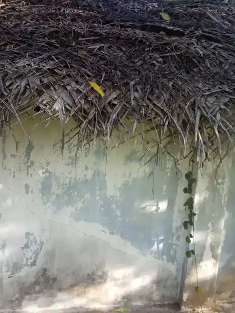 Arulmigu Dhandayuthabani Swamy Temple, Balavai - 614705 அருள்மிகு தண்டாயுதபாணி சுவாமி திருக்கோயில், பாலவாய் - 614705, Thiruvarur - Ancient Temple Architecture and History Image 4