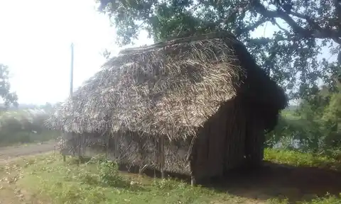 Arulmigu Dhandayuthapani Swamy Temple, Karuvazhakkarai - 609304 Arulmigu Dhandayuthapani Swamy Temple, Karuvazhakkarai - 609304, Mayiladuthurai - Ancient Temple Architecture and History Image 5