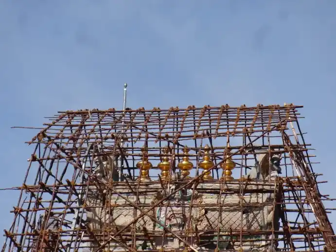 Arulmigu Dhandayuthapaniswamy Temple, Palani - 624601 அருள்மிகு தண்டாயுதபாணி சுவாமி திருக்கோயில், பழனி - 624601, Dindigul - Ancient Temple Architecture and History Image 9