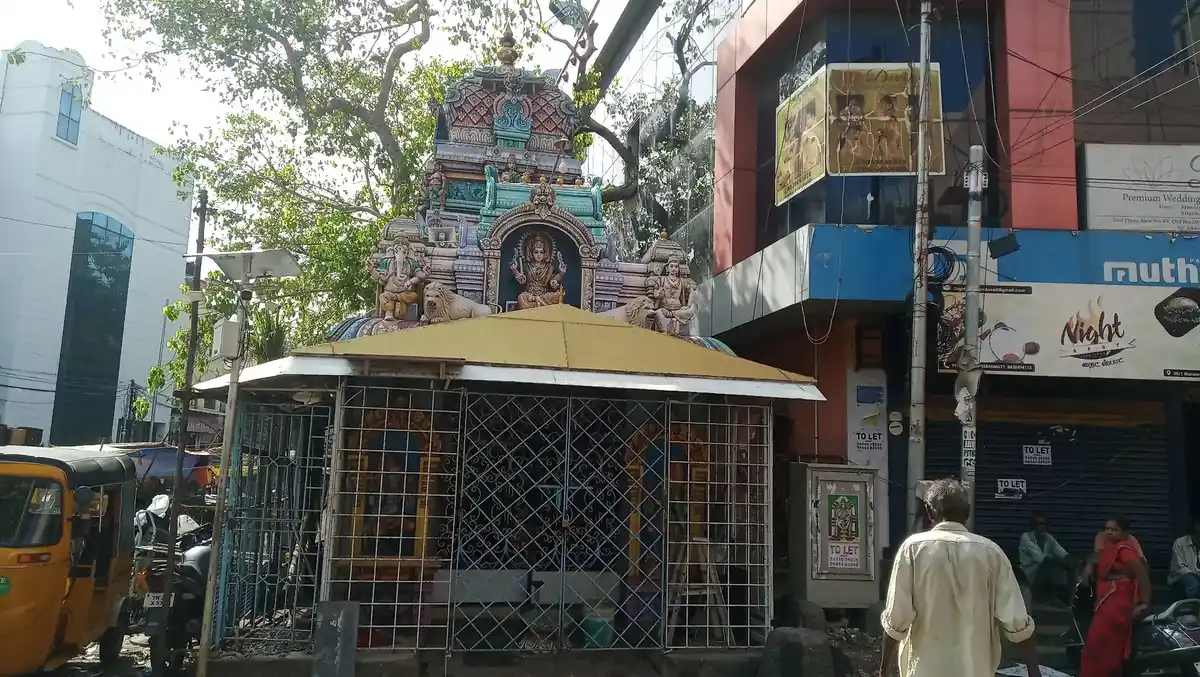 Arulmigu Dhandu Mari Amman Temple, Mandaveli, Chennai - 600028 அருள்மிகு ஸ்ரீமத் தண்டுமாரியம்மன் திருக்கோயில், மந்தவெளி, சென்னை - 600028, Chennai - Ancient Temple Architecture and History Image 2