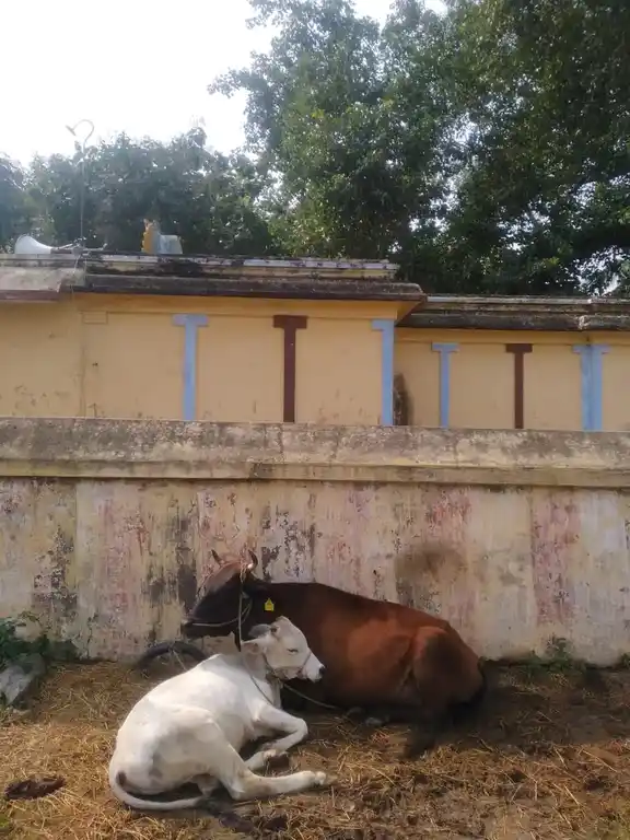Arulmigu Dharamarajar Temple, Japthikariyanthal - 606702