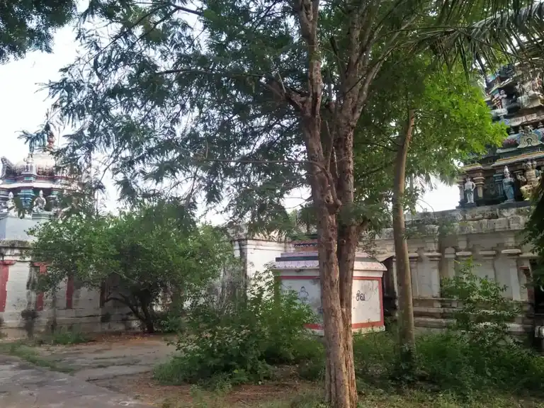 Arulmigu Dharmalingeswarar Temple, Thamaraipoondi - 621719 Temple