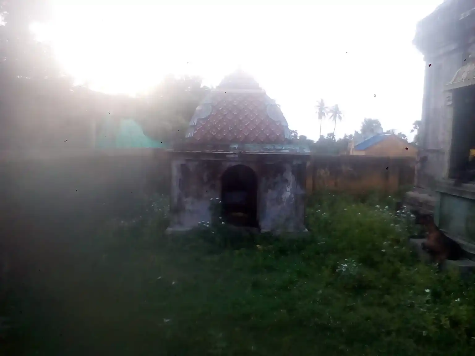 Arulmigu Dharmapureeswarar Temple, Venmani - 611109 அருள்மிகு தர்மபுரீஸ்வரர் திருக்கோயில், Venmani - 611109, Nagapattinam - Ancient Temple Architecture and History Image 4