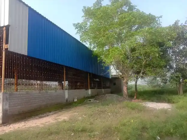 Arulmigu Dharmaraja Temple, Near By School, Ayyaneri - 631303 அருள்மிகு தர்மராஜா திருக்கோயில், Near By School, Ayyaneri - 631303, Tiruvallur - Ancient Temple Architecture and History Image 4