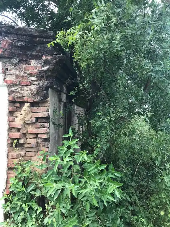 Arulmigu Dharmaraja Temple, Outer Of The Village, Arani - 601204 Temple