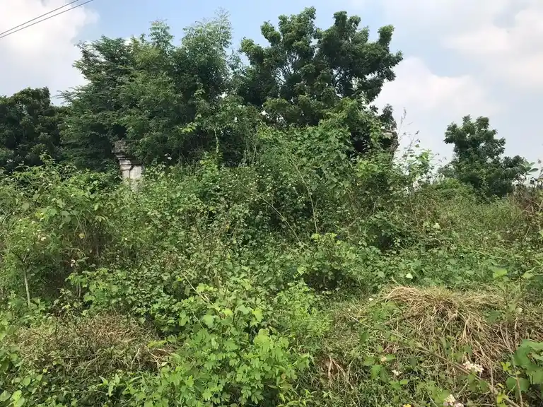 Arulmigu Dharmaraja Temple, Outer Of The Village, Arani - 601204 அருள்மிகு தர்மராஜா திருக்கோயில், Outer Of The Village, Arani - 601204, Tiruvallur - Ancient Temple Architecture and History Image 2