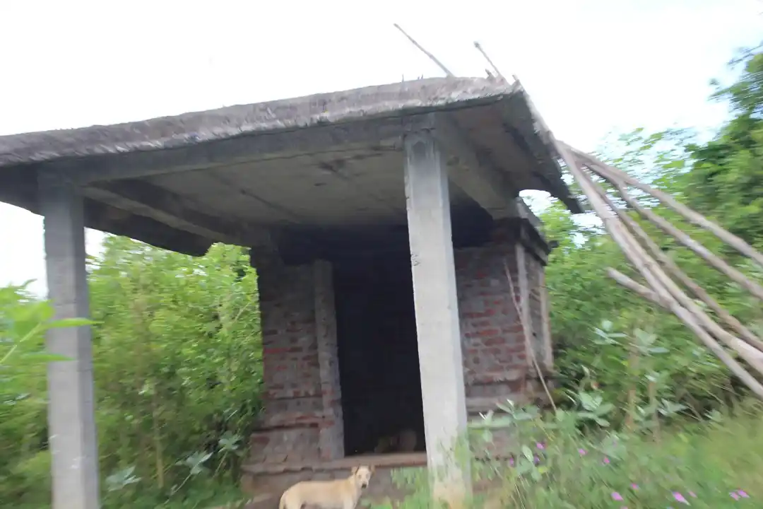 Arulmigu Dharmarajar Dhropathiyamman Temple, Keezhaikadirupu - 612605 அருள்மிகு தர்மராஜா திரௌபதியம்மன் திருக்கோயில், Keezhaikadirupu - 612605, Thanjavur - Ancient Temple Architecture and History Image 5