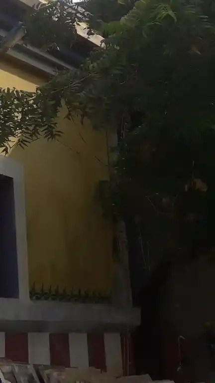 Arulmigu Dharmarajar Temple, Allapuram - 632002 அருள்மிகு தர்மராஜா திருக்கோயில், அல்லாபுரம் - 632002, Vellore - Ancient Temple Architecture and History Image 3