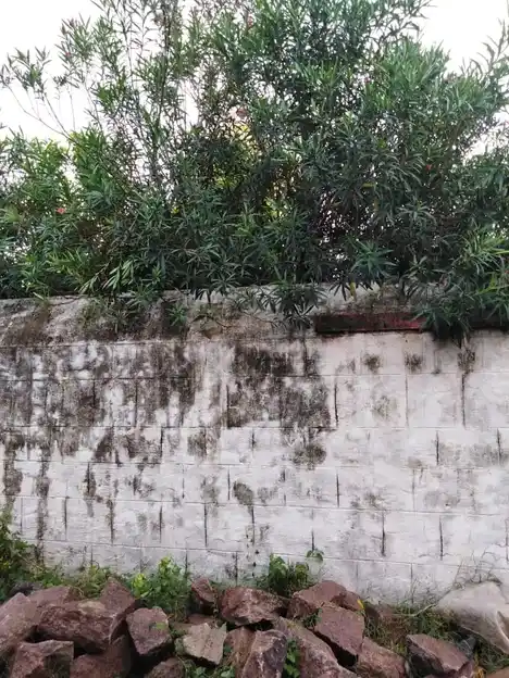 Arulmigu Dharmarajar Temple, Ezhusempun - 605402 அருள்மிகு தர்மராஜர், அம்மச்சார், பிடாரி திருக்கோயில், Ezhusempun - 605402, Viluppuram - Ancient Temple Architecture and History Image 6