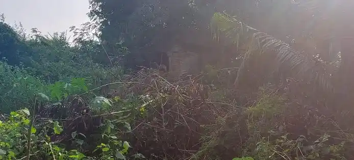 Arulmigu Dharmarajar Temple, Karivedu - 631001