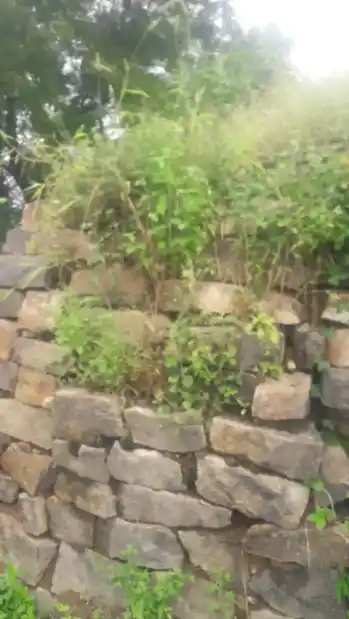 Arulmigu Dharmarajar Temple, Malapampadi - 606611 அருள்மிகு தர்மராஜர் திருக்கோயில், Malapampadi - 606611, Tiruvannamalai - Ancient Temple Architecture and History Image 6