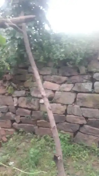 Arulmigu Dharmarajar Temple, Malapampadi - 606611 அருள்மிகு தர்மராஜர் திருக்கோயில், Malapampadi - 606611, Tiruvannamalai - Ancient Temple Architecture and History Image 10