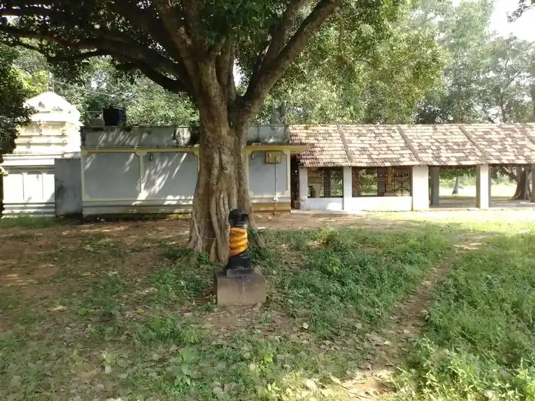 Arulmigu Dharmarajar Temple, Puliyoor - 603109 அருள்மிகு தர்மராஜர் திருக்கோயில், திருக்கழுக்குன்றம், புலியூர் - 603109, Chengalpattu - Ancient Temple Architecture and History Image 5