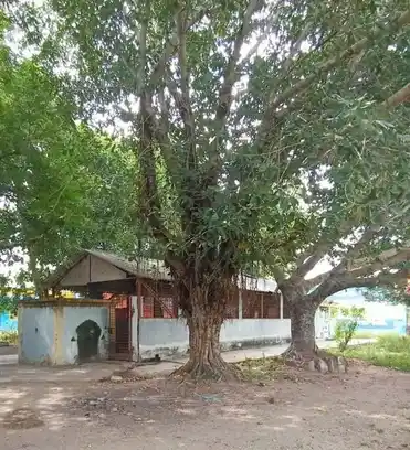 Arulmigu Dharmarajar Temple, T.Keeranur - 605757 அருள்மிகு தர்மராஜர், திரௌபதியம்மன் திருக்கோயில், T.Keeranur - 605757, Kallakurichi - Ancient Temple Architecture and History Image 3