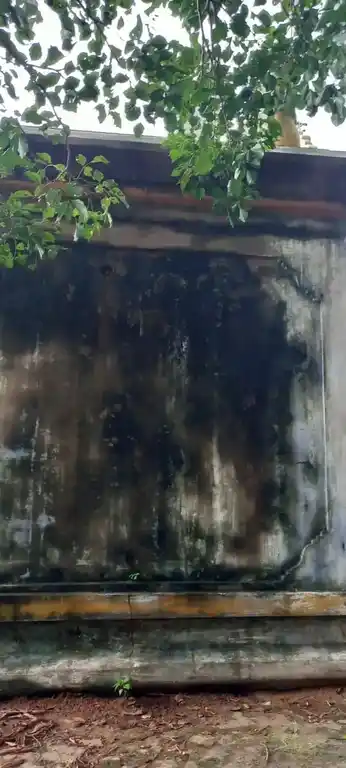 Arulmigu Dharmarajar Thirowpathi Temple, Asanamapettai - 604402 Arulmigu Dharmarajar Thirowpathi Temple, Asanamapettai - 604402, Tiruvannamalai - Ancient Temple Architecture and History Image 4