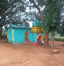 Arulmigu Dharmarajar Throwpathiamman Temple, Alangayam Road, Vaniyambadi - 635752 அருள்மிகு தர்மராஜா திரௌபதி அம்மன் திருக்கோயில், ஆலங்காயம் ரோடு, வாணியம்பாடி - 635752, Thirupathur - Ancient Temple Architecture and History Image 6