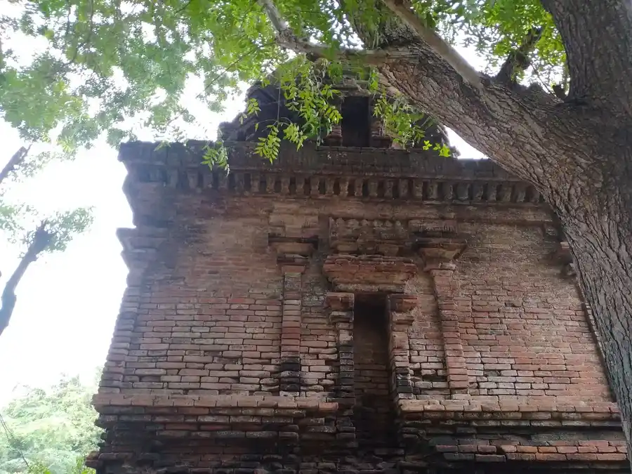 Arulmigu Dharmeshwaramudaiyaar Temple, Achchuthamangalam - 610105 Arulmigu Dharmeshwaramudaiyaar Temple, Achchuthamangalam - 610105, Thiruvarur - Ancient Temple Architecture and History Image 3
