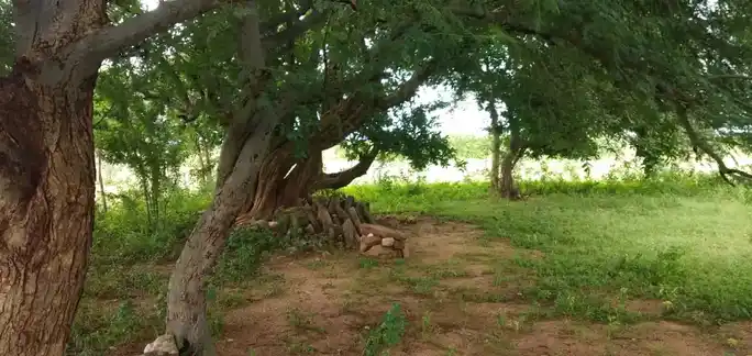 Arulmigu Dhesiyamangalam Malaikovil, Sivayam - 639120 Arulmigu Dhesiyamangalam Malaikovil, Sivayam - 639120, Karur - Ancient Temple Architecture and History Image 3
