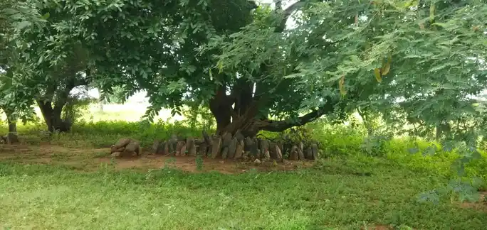 Arulmigu Dhesiyamangalam Malaikovil, Sivayam - 639120 Arulmigu Dhesiyamangalam Malaikovil, Sivayam - 639120, Karur - Ancient Temple Architecture and History Image 7